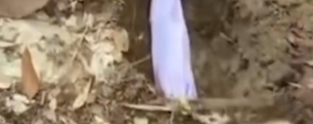 একসঙ্গে ৭ সন্তান হারিয়ে শোকে মুহ্যমান পরিবার
